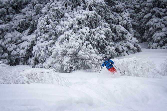 1-day Backcountry Tour - Terrain focus: couloirs, valleys, treeline trees, and deep powder decisions