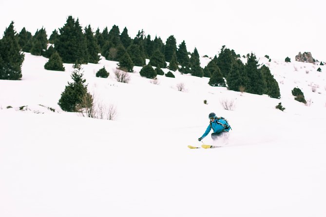 1-day Backcountry Tour - Price and value: $156.49 for a private guided freeride day