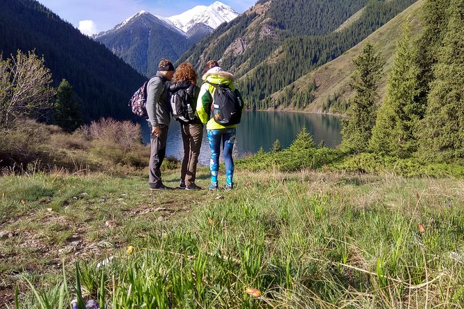 2-Day Private Tour - The Kolsai Lake & Kaindy (Sunken forest) via Charyn canyon - Key highlights worth caring about