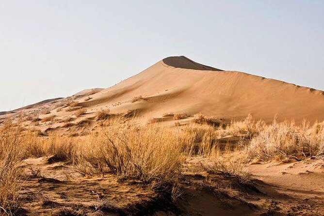 2 day tour to Altyn Emel Singing Dune and Aktau mountain - Evening in Basshi: dinner, campfire time, stars overhead