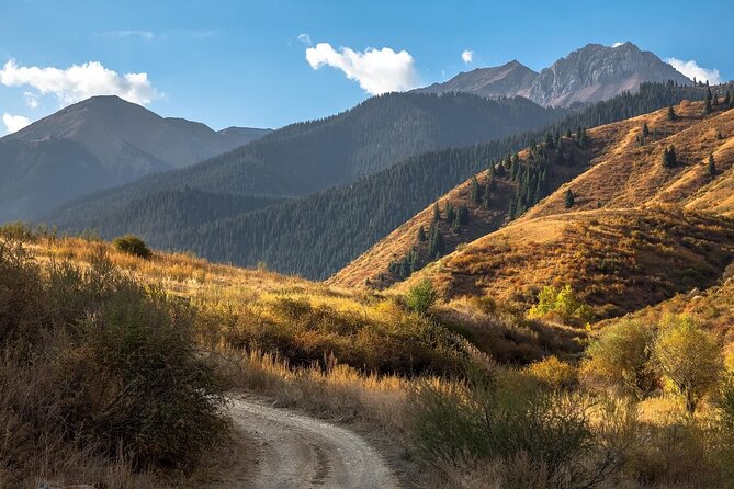 2 Days Tour: Charyn Canyon, Kaindy & Kolsay Lakes - Charyn Canyon, Kaindy Lake, and Kolsai Lakes in One Tight Loop