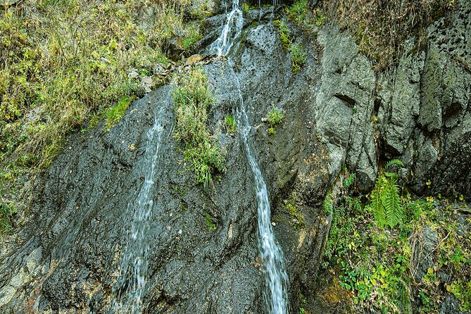Alma-Arasan gorge tour - Should you book this Alma-Arasan gorge tour?
