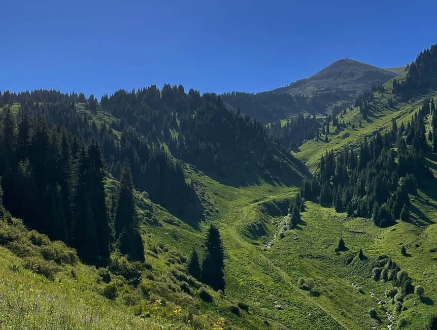 Almaty: Advanced Hiking - Four Peaks Hike - The physical reality check: 2,000 m gain and advanced terrain