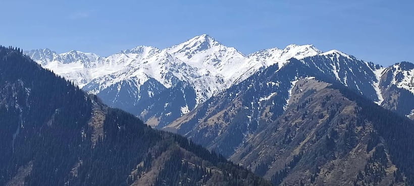 Almaty: Falconry show and Big Almaty Gorge - Ayusay Waterfall mini-hike: the best payoff per step