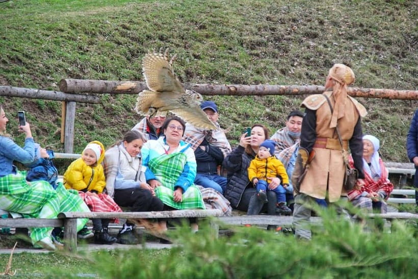 Almaty: Falconry show and Big Almaty Gorge - Wild Birds of Prey show: how to watch so it feels real