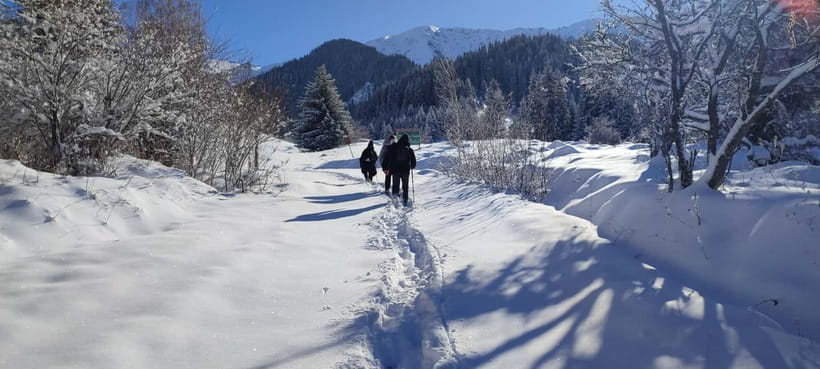 Almaty: Hiking to the High Mountain Pasture Kok Zhailau - Guide Team, Language Help, and Route Options