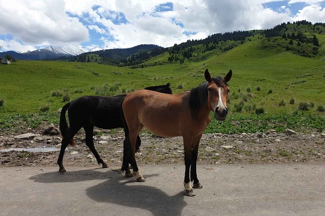 Almaty Region 3 Days Tour from Almaty - Charyn Canyon Walk in the Valley of Castles: Panoramas, 3 km In, and Tea by the River