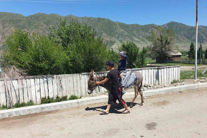 Almaty Region 3 Days Tour from Almaty - Day One in Altyn-Emel: Aktau Mountains and Salt Marsh Roads