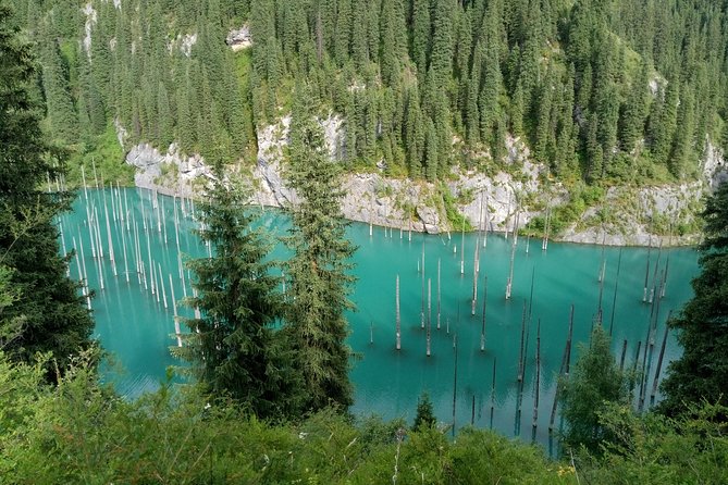 Almaty Region 5 Days Private Tour from Almaty - Almaty Region Private Touring: Why This Itinerary Works
