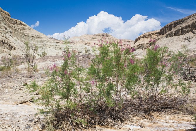 Altyn Emel. Singing dune and Aktau mountains 2 days tour - Day 2: Aktau sunrise hiking plan, then Katutau volcanic rocks