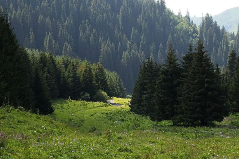"Butakovka Waterfall" - a half day tour - Pickup in Almaty to the foothills: what makes the logistics easy