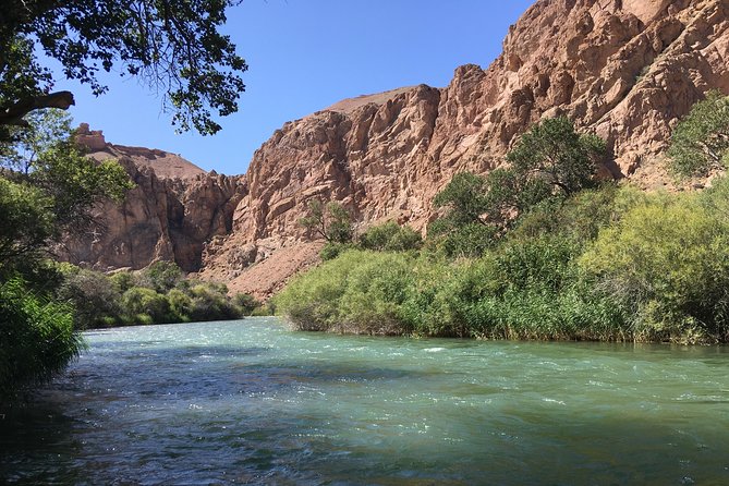 Charyn Canyon Private tour from Almaty, 1 day - Leaving Almaty Early: The Pace That Makes This Work