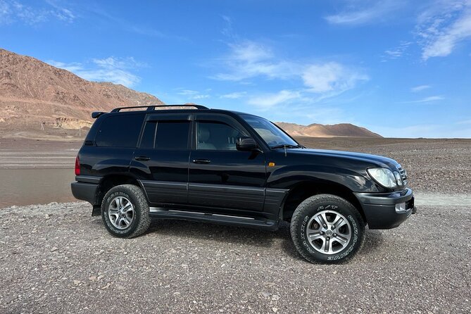 Charyn Canyon Valley of Castles 1 Day tour - Valley of Castles hike: The Martian rock formations and canyon scale