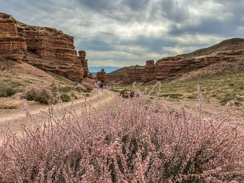 From Almaty: Charyn Canyon Full-Day Trip with Boxed Lunch - Key things to know before you go