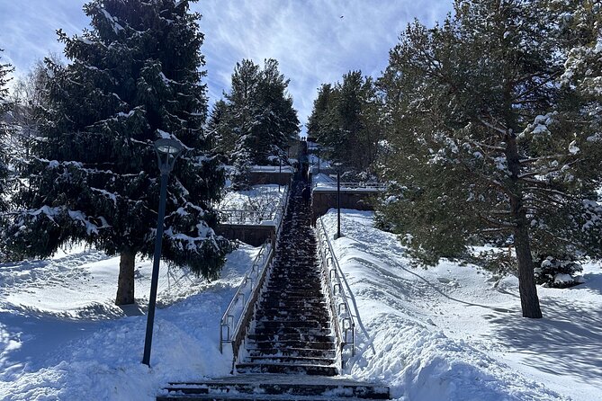 Group: Medeu, Shymbulak, Cathedral, 28's park, Market, Koktobe - A one-day Almaty hit list with mountain air and real city stops