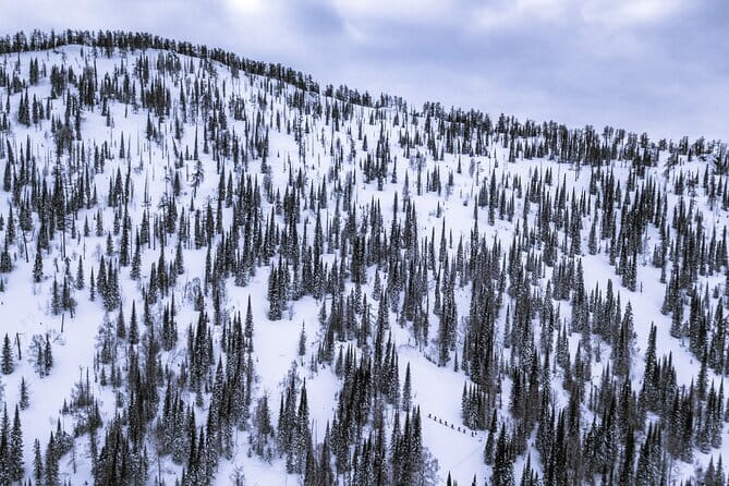 One Day Ski Tour Near Almaty - The Real Shape of Your Day: What 6 to 10 Hours Usually Feels Like