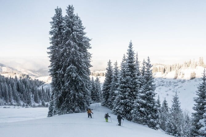 One Day Ski Tour Near Almaty - Price and Value: Is $277 Per Person a Fair Deal?