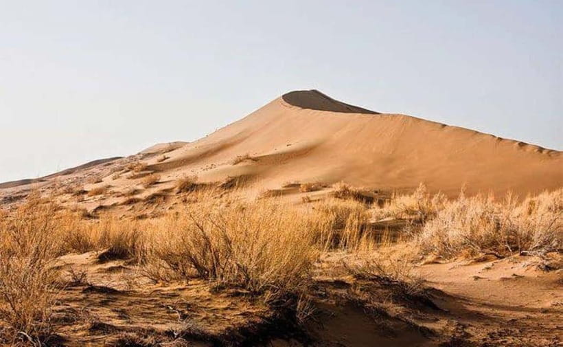 One Day Tour to Altyn-Emel: Singing Dune and Aktau Mountain - Basshi break time and the 700-year-old willow tree moment