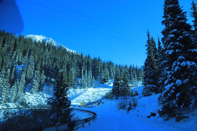Private Big Almaty Lake Hiking Tour with alternatgive Pipeline - The pacing and logistics that help you actually enjoy the day