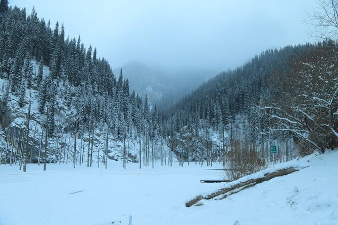 Private Charyn Canyon, Kolsai Lake with Optional Kaindy Lake tour - Private Pickup and a Long Day Clock You Should Plan For