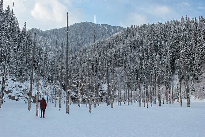 Private DayTour - Pearl Lakes Kolsai & Kaindy (Flooded Forest) via Charyn Canyon - Who should book this private Pearl Lakes day tour
