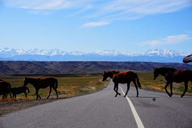 Private tour Almaty Region 3 days with Silktravel - Day 1 Basshi village, Aktau and Katutau mountains, and an overnight that breaks up the drive