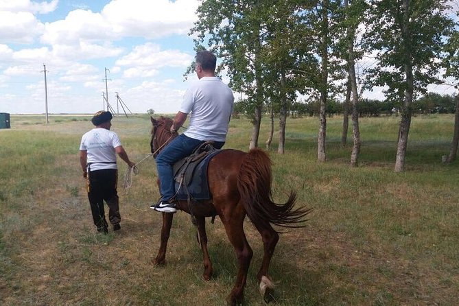 Trip to Kazakh family of Eagle hunters in Astana (6 hours) - Price in Perspective: Is $290 a Good Deal?